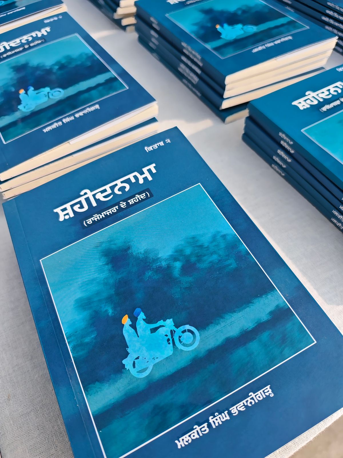Shahhednama Book