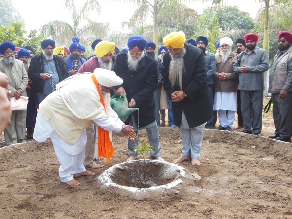 SGPC President Avtar Singh Makkar planting a ceremonial tree at Naulakha Garden (January 31, 2013)