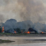 India: Assam gripped in ethnic violence; five gunned down by security forces; Army called-in