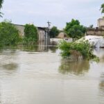 Floodwaters engulf a village in Ferozepur district as rivers overflow in Punjab